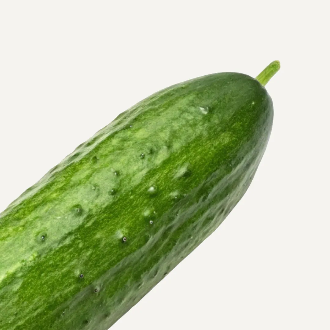 خیار مزرعه - تصویر 2